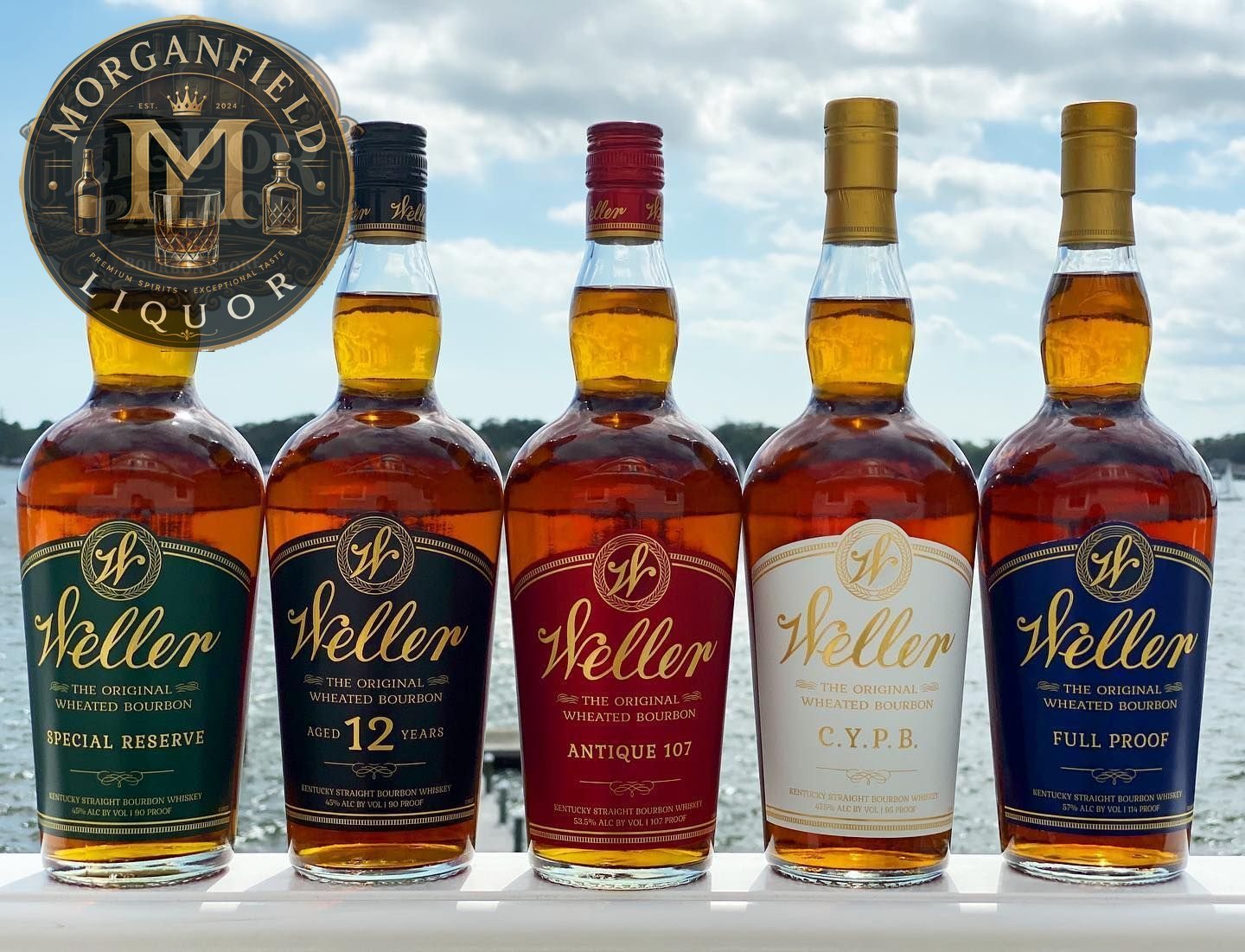 Weller SP, Weller 12, Weller 107, Weller C.Y.P.B. & Weller FP (Bundle)
